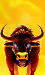 Big Wild Buffalo 2