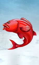 Ice Fishing